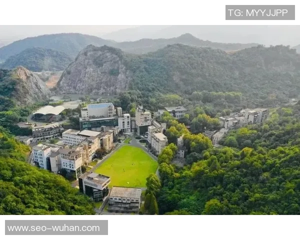 沙特足球球队崛起之路：从传统到现代化的华丽转身与未来展望