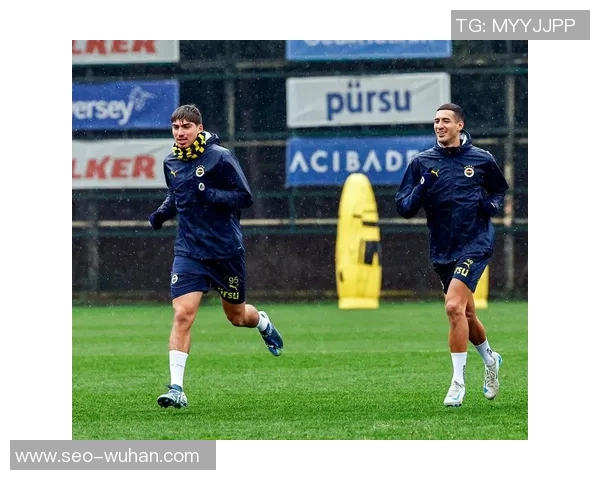 足球大伤病困扰球队前景分析及应对策略探讨