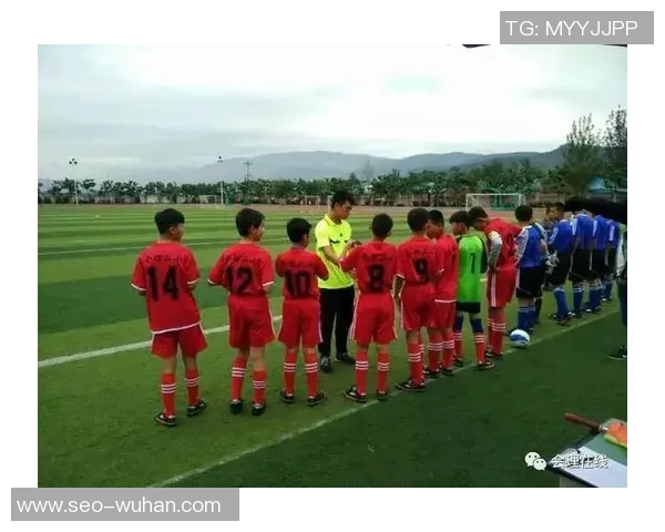 足球小金珠的成长之路与梦想追逐的精彩故事