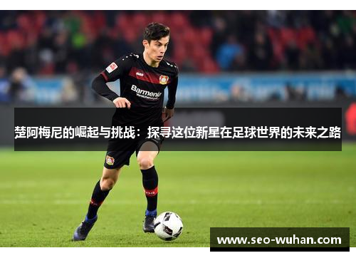 楚阿梅尼的崛起与挑战：探寻这位新星在足球世界的未来之路
