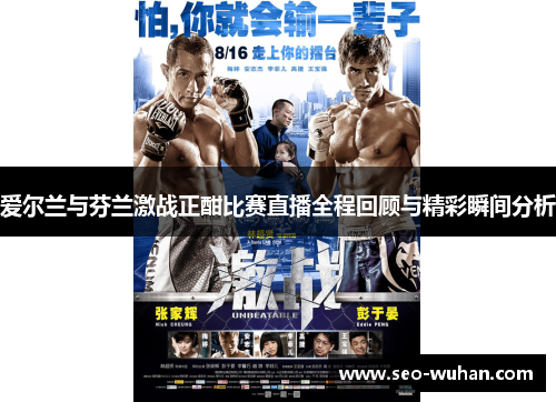 爱尔兰与芬兰激战正酣比赛直播全程回顾与精彩瞬间分析