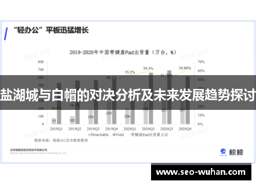 盐湖城与白帽的对决分析及未来发展趋势探讨